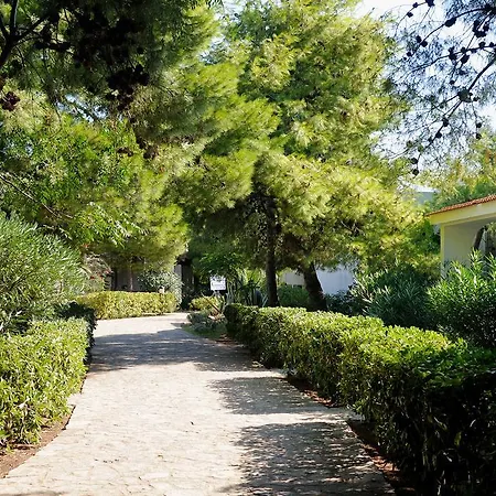 Baia Degli Aranci & 4*