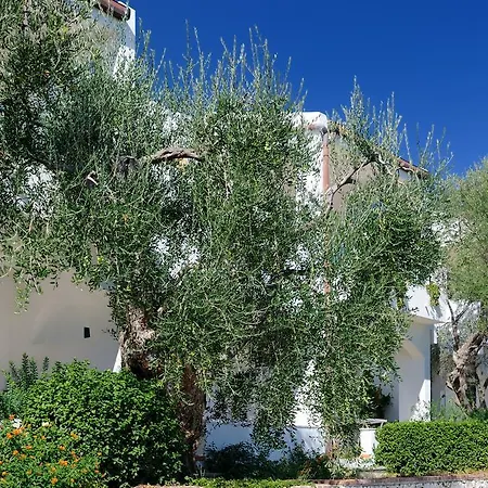 База отдыха Baia Degli Aranci & 4*